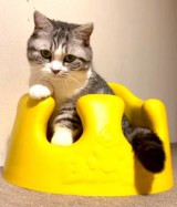 �Ԃ����֎q�ɂ����ۂ���܂�ӂɂ����iInstagram�^��funi0202���j 