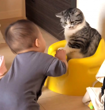 �֎q��D�������Ԃ����vs�L�iInstagram�^��funi0202���j 