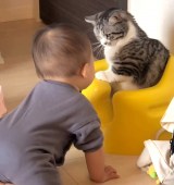 �֎q��D�������Ԃ����vs�L�iInstagram�^��funi0202���j 