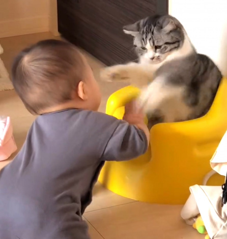 �֎q��D�������Ԃ����vs�L�iInstagram�^��funi0202���j 