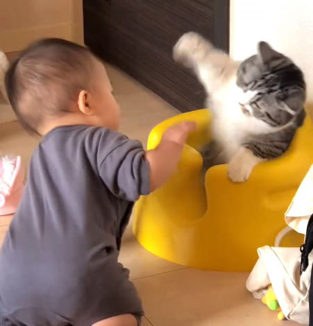 �֎q��D�������Ԃ����vs�L�iInstagram�^��funi0202���j 