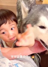 �}�}��D������1�Ύ��ƃn�X�L�[���̎O�p�֌W�������u�����̑�a�؁v�u�}�}���񃂃e���e�ł��ˁv 