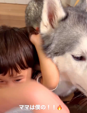 �}�}��D������1�Ύ��ƃn�X�L�[���iInstagram�^@sena__husky���j 