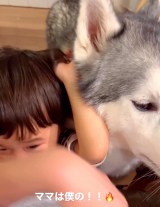 �}�}��D������1�Ύ��ƃn�X�L�[���iInstagram�^@sena__husky���j 