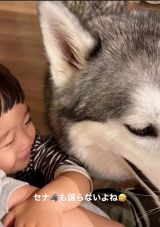 �}�}��D������1�Ύ��ƃn�X�L�[���iInstagram�^@sena__husky���j 