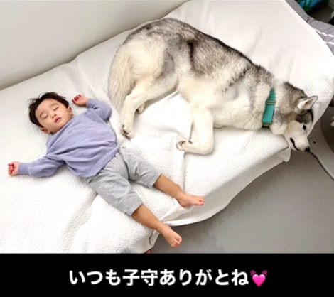 1�Ύ��ƃn�X�L�[���iInstagram�^@sena__husky���j 