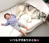 1�Ύ��ƃn�X�L�[���iInstagram�^@sena__husky���j 