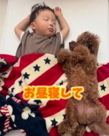 �����Q���ꏏ�ɂ������ǂ�Ȏ������q����ƈꏏ 