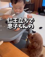 ���q����̈��H���ɂ����΂ɂ��郌�I���� 