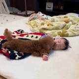 ���ł͂Ƃ��Ă����ǂ������q���񂪑�D���ȃ��I���� 