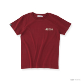 �w�@����m�K���_�� SEED FREEDOM�x�V�A�p�����o�� 