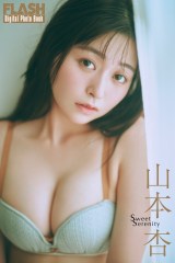 �R�{��(C)������/�T��FLASH �ʐ^�����{���u 