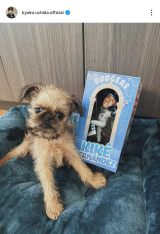 ���c���q�u�V�����Ƒ��̃L�P�����Љ�܂��v (�ʐ^�̓C���X�^�O���� @kyoko.uchida.official ���) 