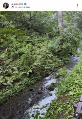 uŋ߁AR̒ŊJ̏߂悤ɂȂĂv(ʐ^̓CX^O @ai_kato1212 ) 