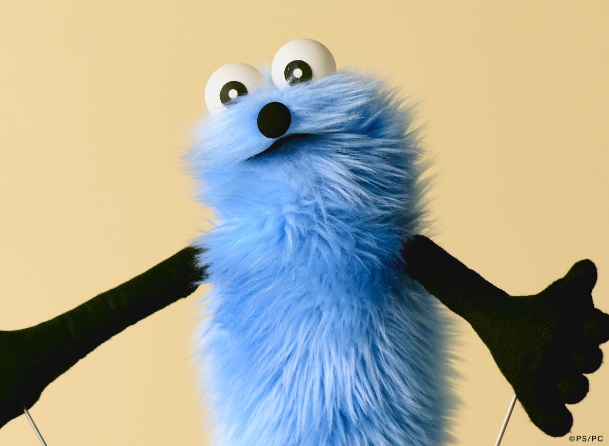 パペットスンスン パペットスンスンのZOZOTOWN限定アイテムが5月16日より販売！シティ