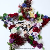 CONVERSE TOKYO��CLAMP�ƃR���{ 