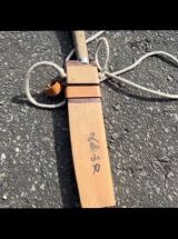 �ڏZ��̌Ö��Ƃ���łĂ����w���S�R��(�܂����Ȃ���)�x(�ʐ^��@��т��ѓc�ɕ�炵) 