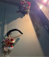 �x�����݂����J�����A�N���X�}�X�̏���t�����s��������(�ʐ^�̓u���O���) 