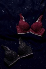�����z�؂��v���f���[�X���郉���W�F���[�u�����h�uROSIER by Her lip to�v����V��uStella Lace Bra Set�v�o�� 