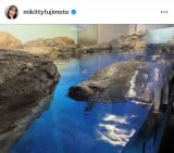 {MuwZx݂̂ 2lŐكf[gv(ʐ^̓CX^O @mikittyfujimoto ) 