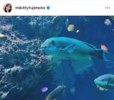 {MuwZx݂̂ 2lŐكf[gv(ʐ^̓CX^O @mikittyfujimoto ) 