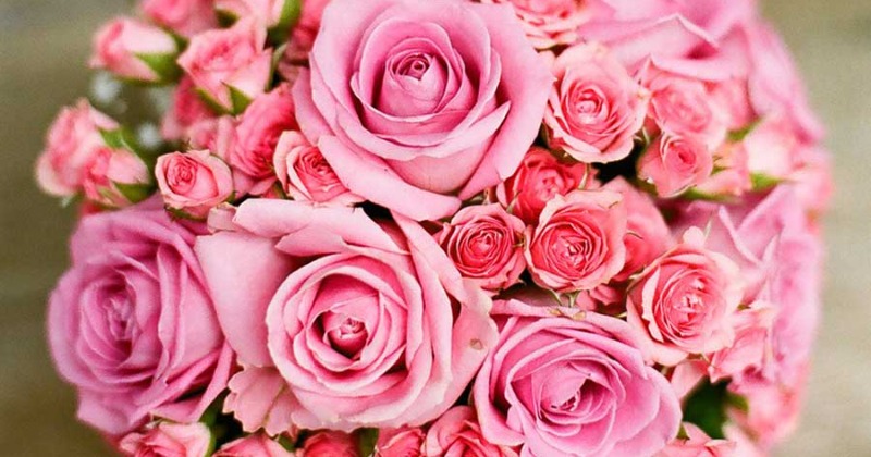 元NMB48・上枝恵美加、“国際結婚”を発表 お相手の顔出しショット添え報告