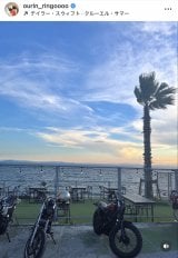 сuʂ߂̃XLl܂Ăv(ʐ^̓CX^O @ourin_ringoooo ) 