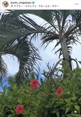 сuʂ߂̃XLl܂Ăv(ʐ^̓CX^O @ourin_ringoooo ) 