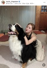 сuʂ߂̃XLl܂Ăv(ʐ^̓CX^O @ourin_ringoooo ) 