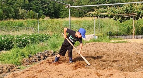 �_��Ƃɗ�ޏ��w���̑��q����i@farm_docan���j 