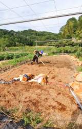 _Ƃɗޏw̑qƂ낮Č(@farm_docan) 