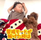 Q1ΎgCv[hꂷuō̃{fBK[hvuXeLȌZ툤܂v 