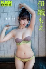 �ɐD����(C)������/�T��FLASH �ʐ^���K���q�P 