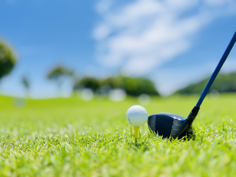 ���q�S���t�s��؂��w���t�񓹁x�ŎӍ߁i�摜�̓C���[�W�j 