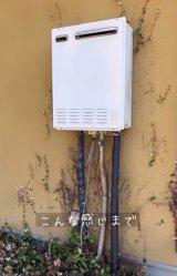 ��������������邽�ߏ������ꂽ�n�c���L�J�Y���B���̃c�^�́c�i�ʐ^��@mido_botanical�j 