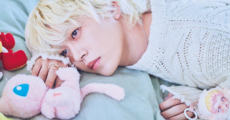 JO1 木全翔也　シュスラポ　チェキ JO1木全翔也、私物ぬいぐるみを大量持参「一緒に撮ってもらうのは