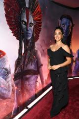 �w�A�o�^�[�F�t�@�C���[�E�A���h�E�A�b�V���x�i12��19�����J�j���[���h�v���~�A�ɓo�ꂵ���E�[�i�E�`���b�v���� 