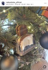 cquN͂Ȃ葁߂ɏo܂v(ʐ^̓CX^O @reikoshiota_official ) 