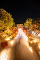 �w���s�g�t�����p2025�`�S�ƃ����Y�ɍ��ސ�i�`�x=�m�a�� �_�C���C�g�A�b�v 