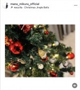 �O�q䝓ށu12���ɓ˓������̂ł킪�Ƃ������N���X�}�X���[�h�Ɂv(�ʐ^�̓C���X�^�O���� @mana_mikura_official ���) 