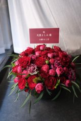 �������~�q�u�悵�݂����ɑ��������ԁv(�ʐ^�̓u���O���) 