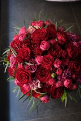 �������~�q�u�悵�݂����ɑ��������ԁv(�ʐ^�̓u���O���) 