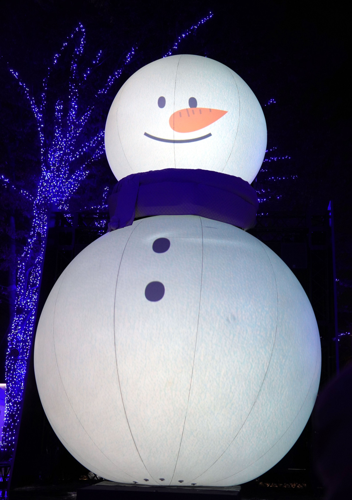 画像・写真 | 多部未華子、イルミに映える真っ白ワンピースで登場