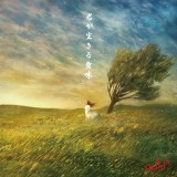 �A���o���w�N��������Ӗ��x�W���P�b�g(�ʏ��) 