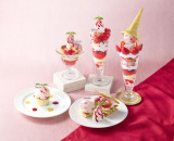 �uJonathan�fs meets �n�[�Q���_�b�c�v 