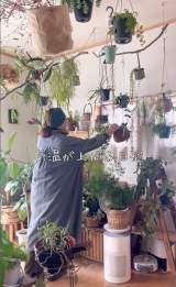 �n���M���O���y���ނ݂ǂ���!(�ʐ^��@mido_botanical) 