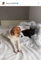 ��ؓށX�u���̃x�b�h�̏�ɂ������������ƃN������񂪈ꏏ�ɂ��܂��v(�ʐ^�̓C���X�^�O���� @nana_suzuki79 ���) 