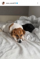 ��ؓށX�u���̃x�b�h�̏�ɂ������������ƃN������񂪈ꏏ�ɂ��܂��v(�ʐ^�̓C���X�^�O���� @nana_suzuki79 ���) 