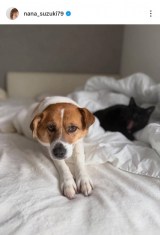 ��ؓށX�u���̃x�b�h�̏�ɂ������������ƃN������񂪈ꏏ�ɂ��܂��v(�ʐ^�̓C���X�^�O���� @nana_suzuki79 ���) 