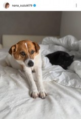 ��ؓށX�u���̃x�b�h�̏�ɂ������������ƃN������񂪈ꏏ�ɂ��܂��v(�ʐ^�̓C���X�^�O���� @nana_suzuki79 ���) 